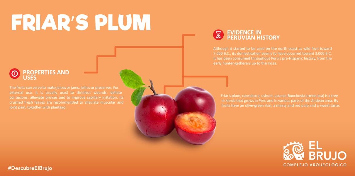 friars plum peruvian fruit